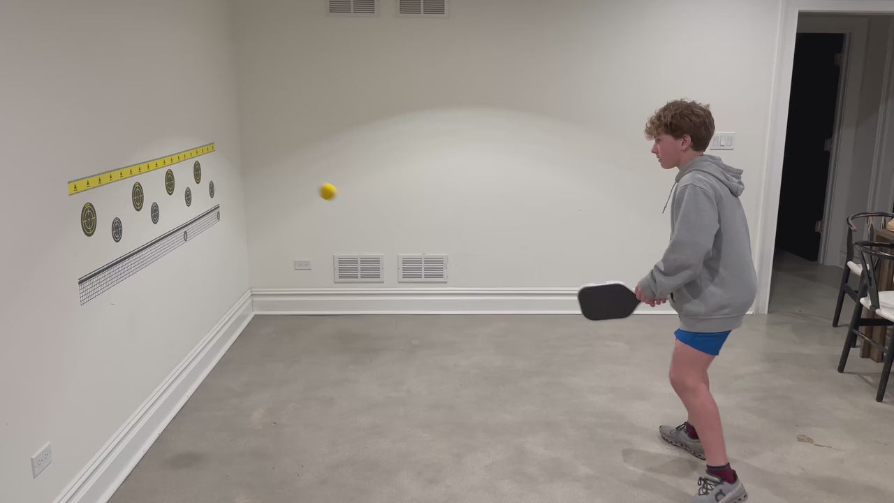 PickleWiz™ At Home Pickleball Trainer